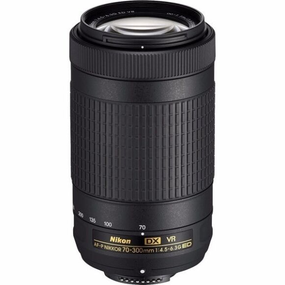 31.jpg AF-P DX NIKKOR 70-300mm f/4.5-6.3G ED VR - Image 1